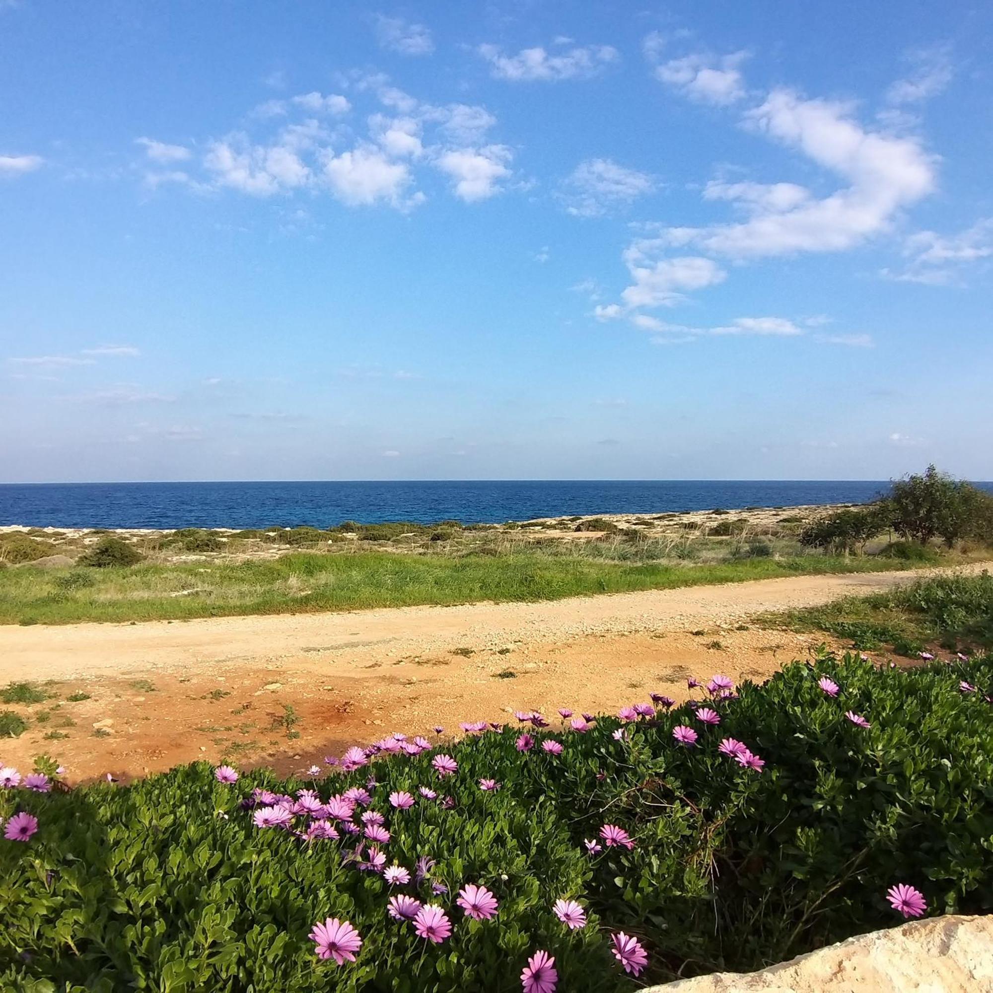 Mosaic Villa By The Sea Protaras Esterno foto